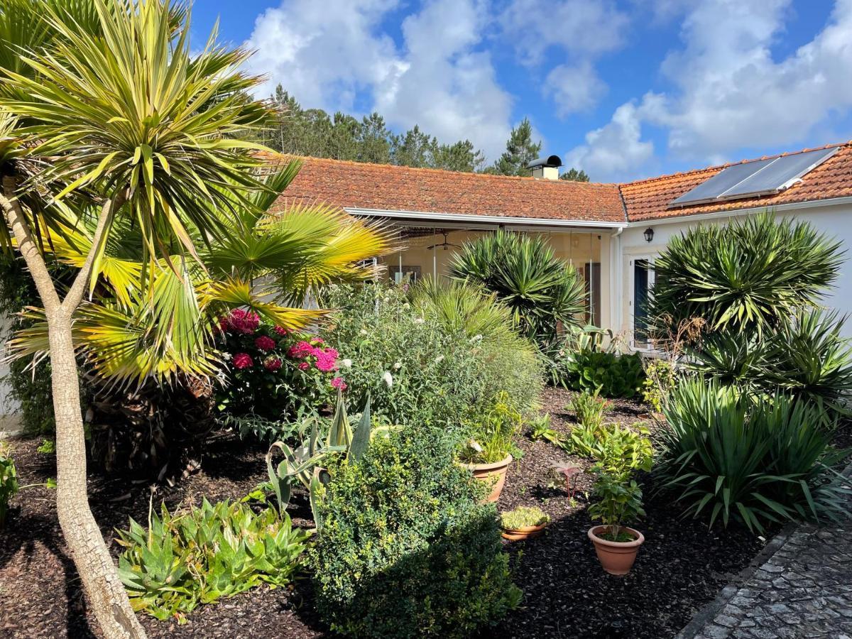 Casa Aguas Mansas Bed & Breakfast Cadima